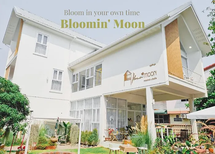 Bloomin\' Moon Hostel & Cafe, Chiang Mai Old Town