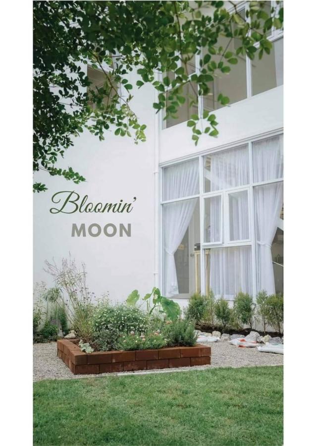 Bloomin' Moon & Cafe, Old Town Ostello Chiang Mai